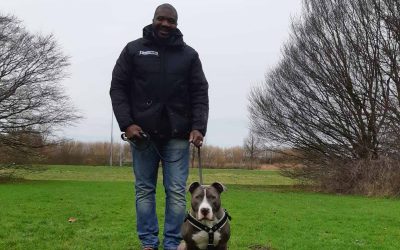 Gevangenisbewaarder adopteert Dutch Cell Dog