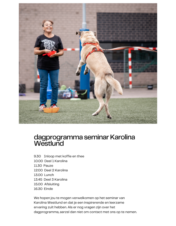 Dagprogramma seminar Karoloina Westlund