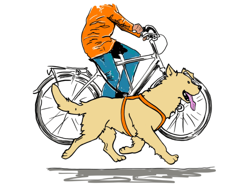 fietsen met hond|fietsen met je hond